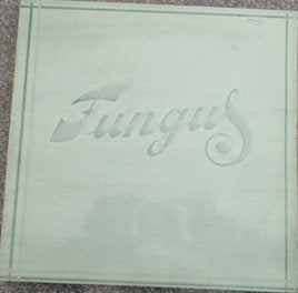 Fungus - Fungus, Cd's en Dvd's, Ophalen of Verzenden, Gebruikt, 12 inch