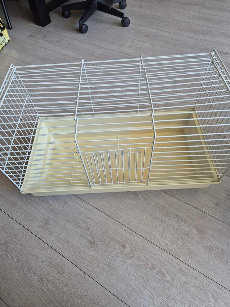 Cavia kooi, Minder dan 60 cm, Kooi, Minder dan 75 cm, Ophalen of Verzenden