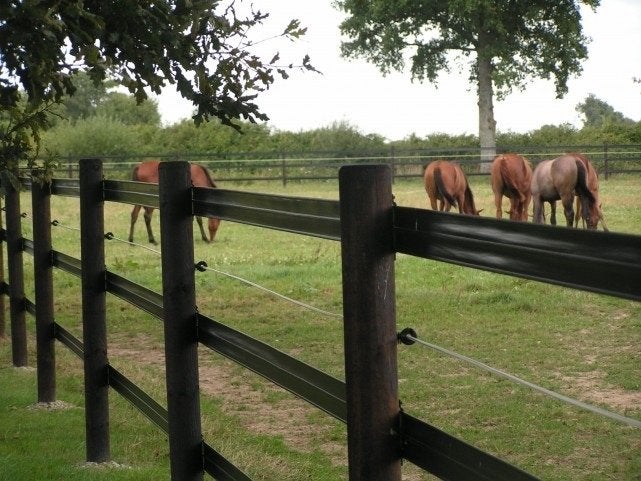 Paarden Afrastering. Kunststof met 2 of 3 staaldraden, Ophalen of Verzenden, Nieuw