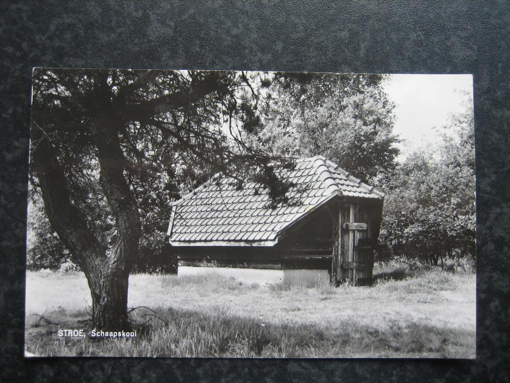 STROE Schaapskooi Pannendak 1967, Verzamelen, Ansichtkaarten | Nederland, Ophalen of Verzenden, 1960 tot 1980, Gelderland