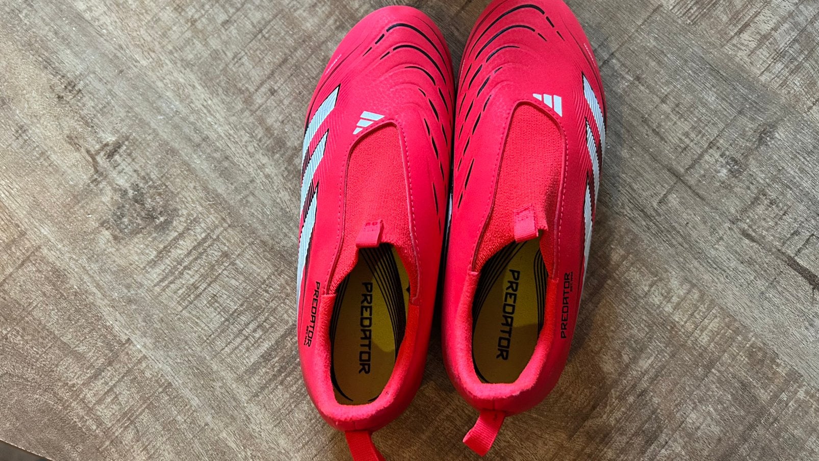 Nieuw! Adidas predator voetbalschoenen, Maat XS of kleiner, Ophalen, Nieuw, Schoenen
