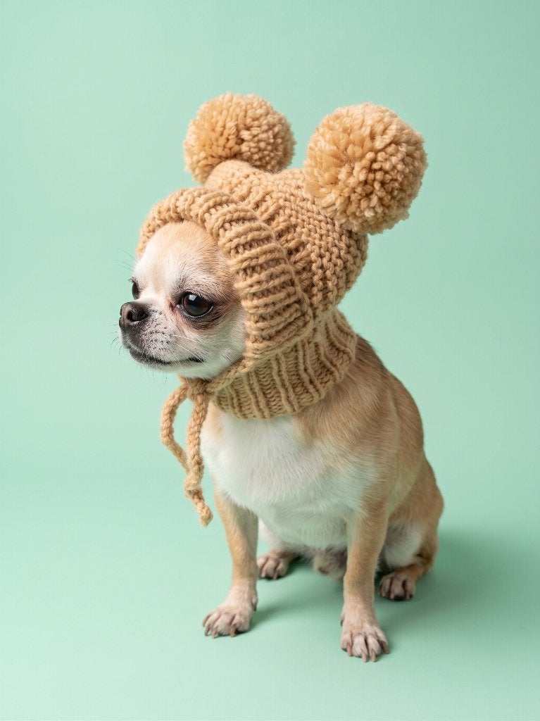Handgemaakte gebreide muts voor honden van kleine rassen, Overige merken, Verzenden, Nieuw, Overige typen