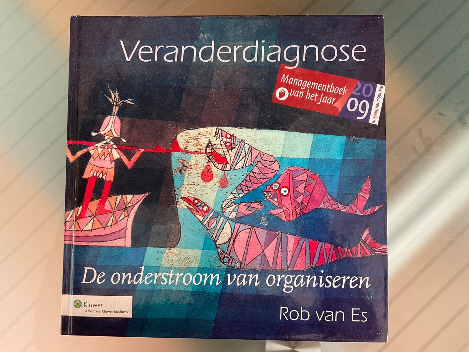 Rob van Es: Veranderdiagnose De Onderstroom Van Organiseren, Boeken, Ophalen of Verzenden, Zo goed als nieuw, Management