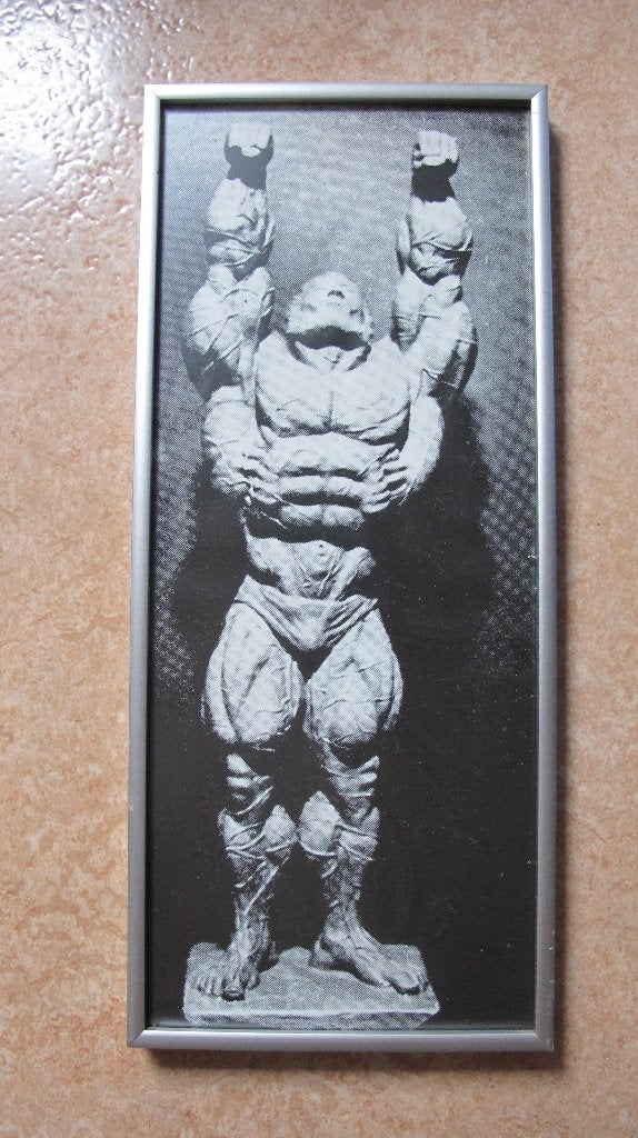 afbeelding body builder, Ophalen of Verzenden, Balsport