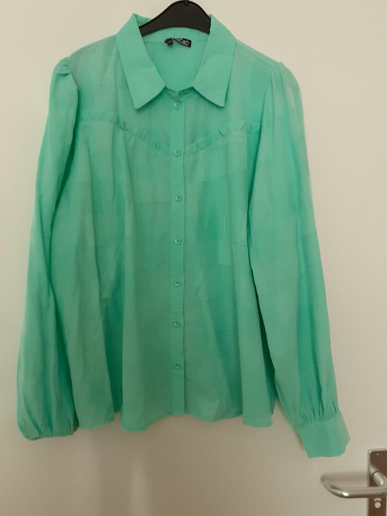 Mooie mint groene blouse maat 44, Kleding | Dames, Blouses en Tunieken, Ophalen of Verzenden, Zo goed als nieuw, Maat 42/44 (L)