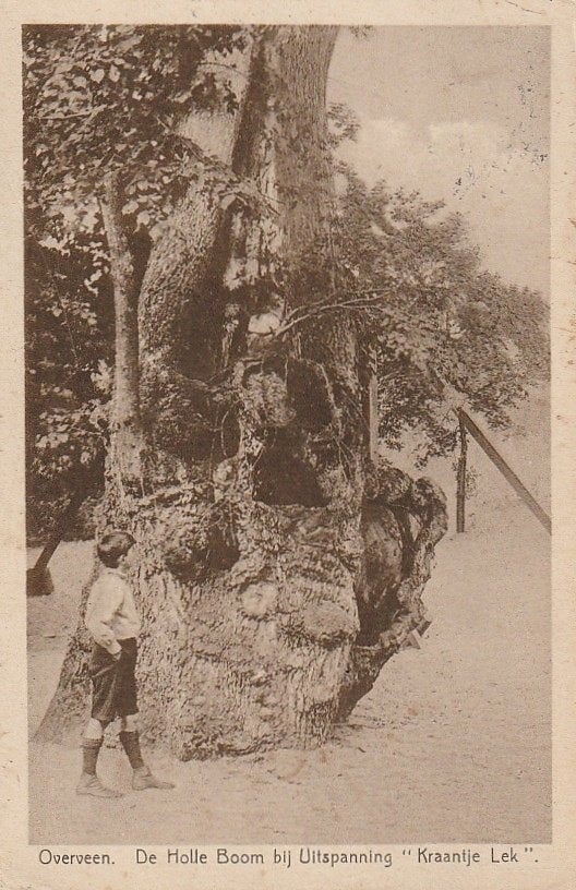 Overveen De holle boom kraantje lek 1927, Ophalen of Verzenden, 1920 tot 1940, Gelopen, Noord-Holland