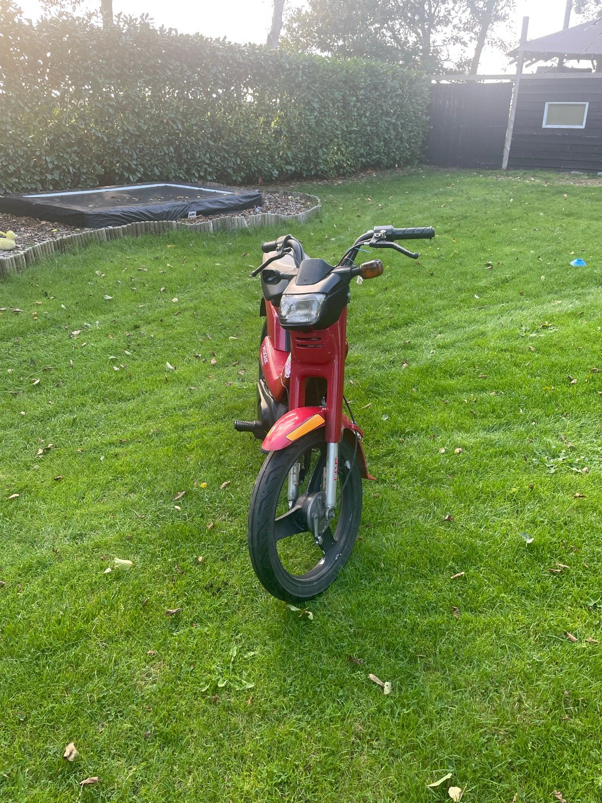Peugeot Fox - Reiniging en Naloop Nodig, Fietsen en Brommers, Ophalen, Gebruikt, Fox