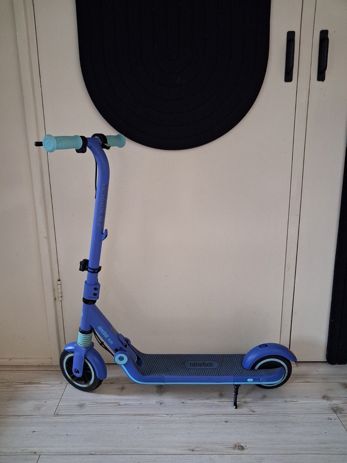 electrische ninebot step, Fietsen en Brommers, Ophalen, Zo goed als nieuw, Elektrische step (E-scooter)