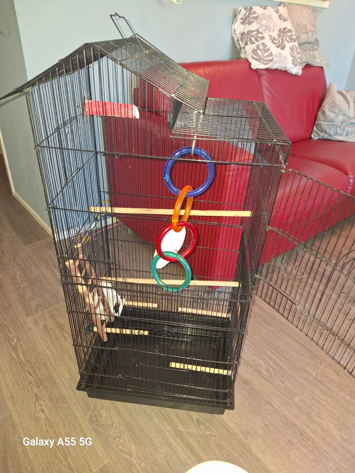 papagaaien kooi compleet met speelgoed, Dieren en Toebehoren, Ophalen, Metaal, Vogelkooi