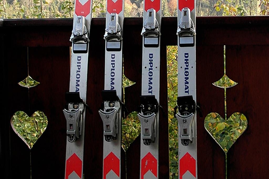 Blizzard Diplomat compact ski's met bindingen, 160 tot 180 cm, Gebruikt, Ophalen of Verzenden, Atomic