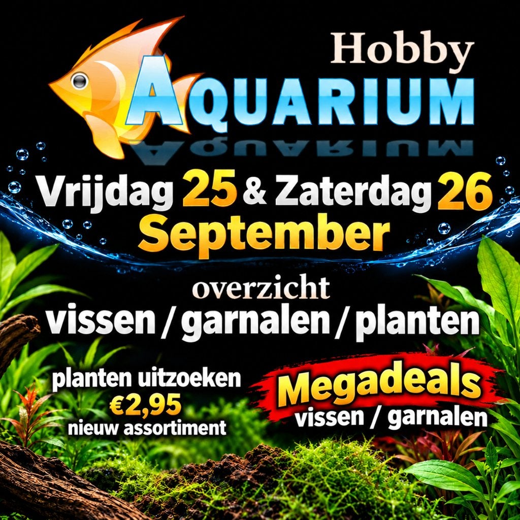 Hobbyaquarium Zat 26 September 10/17 uur overzicht aktie, Vis, Zoetwatervis, Schoolvis