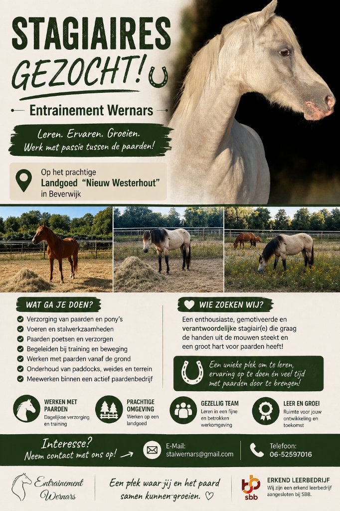 Stageplek aangeboden paardenhouderij - Entrainement Wernars, Vacatures, Stages en Leerbanen, Variabele uren, Starter, Stage