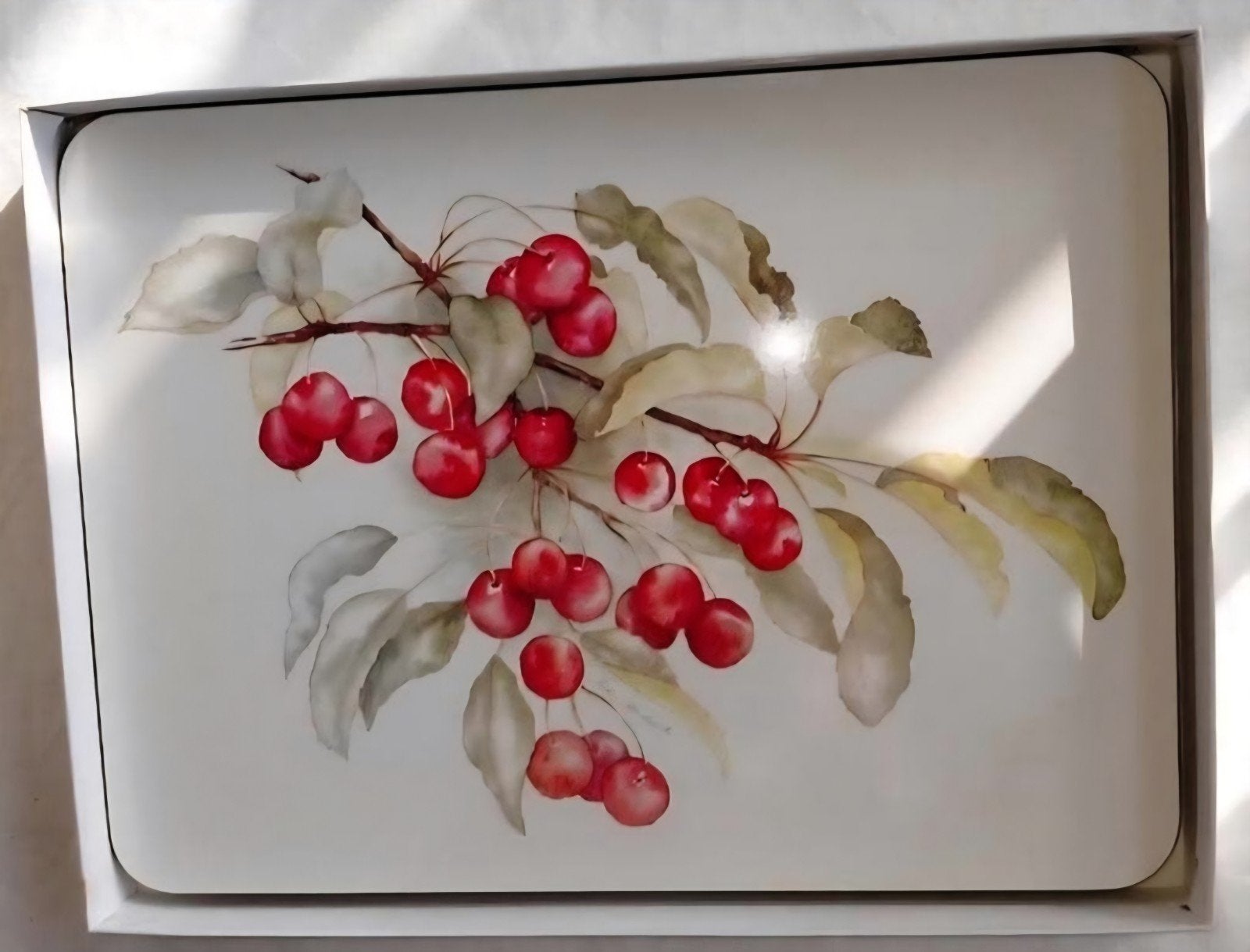 Placemats onderzetters fruit Jason Collection New Zeeland, Huis en Inrichting, Ophalen of Verzenden