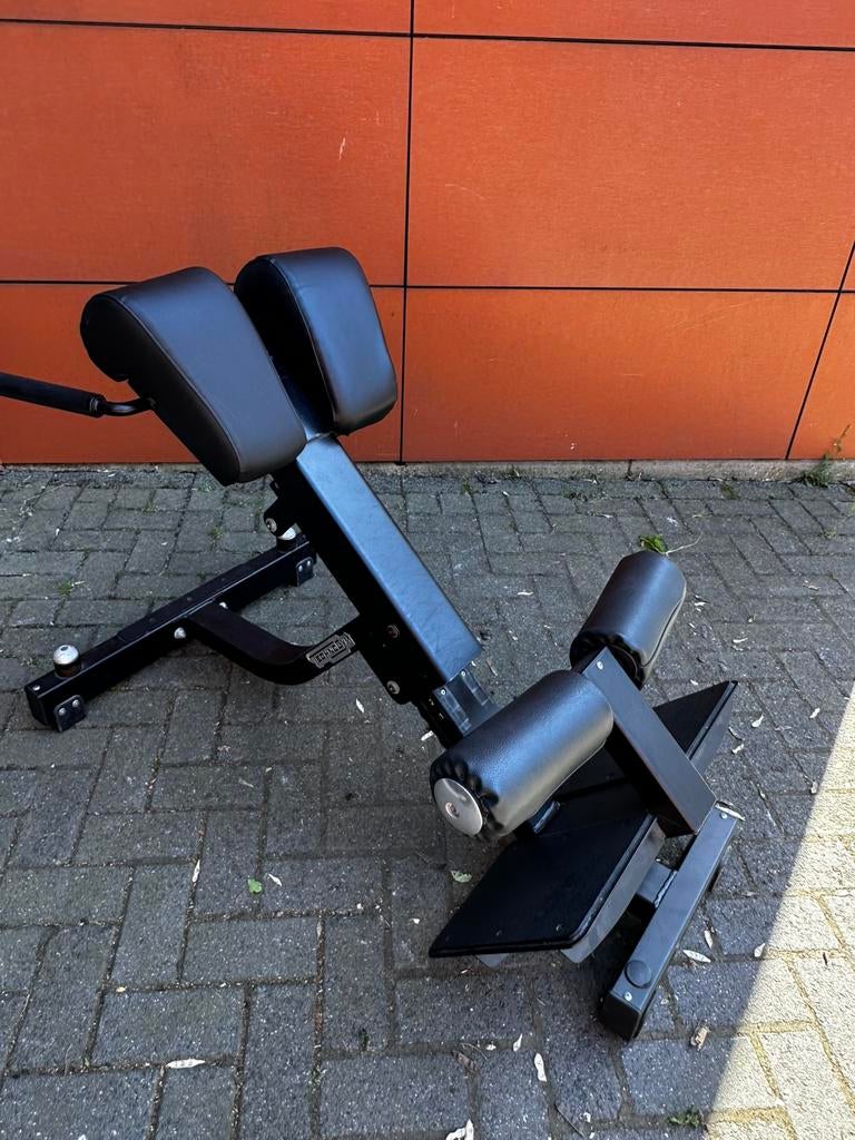 Technogym Pure Strength Lower Back Bench, Sport en Fitness, Fitnessmaterialen, Gebruikt, Fitnessbank, Ophalen
