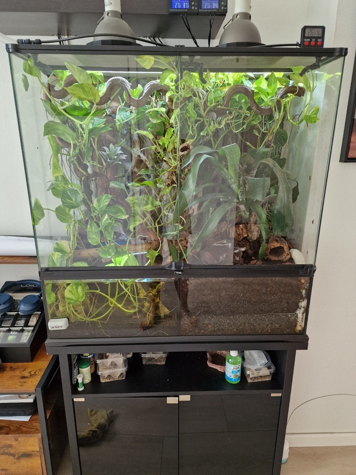Exo Terra 904590 + Meubel + Regensysteem + Verwarming + 2, Ophalen, Gebruikt, Terrarium of Paludarium