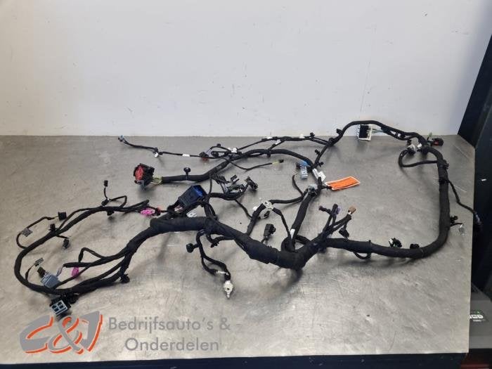 Kabelboom van een Ford Transit Custom