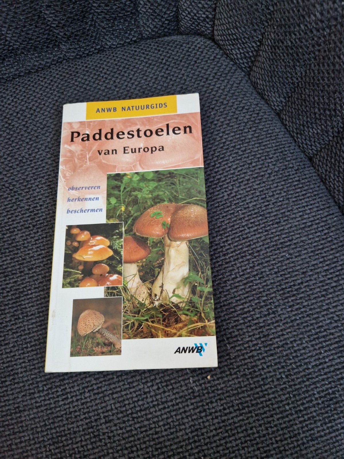 ANWB Natuurgids Paddenstoelen van Europa, Ophalen of Verzenden, Gelezen, Natuur algemeen, Onbekend