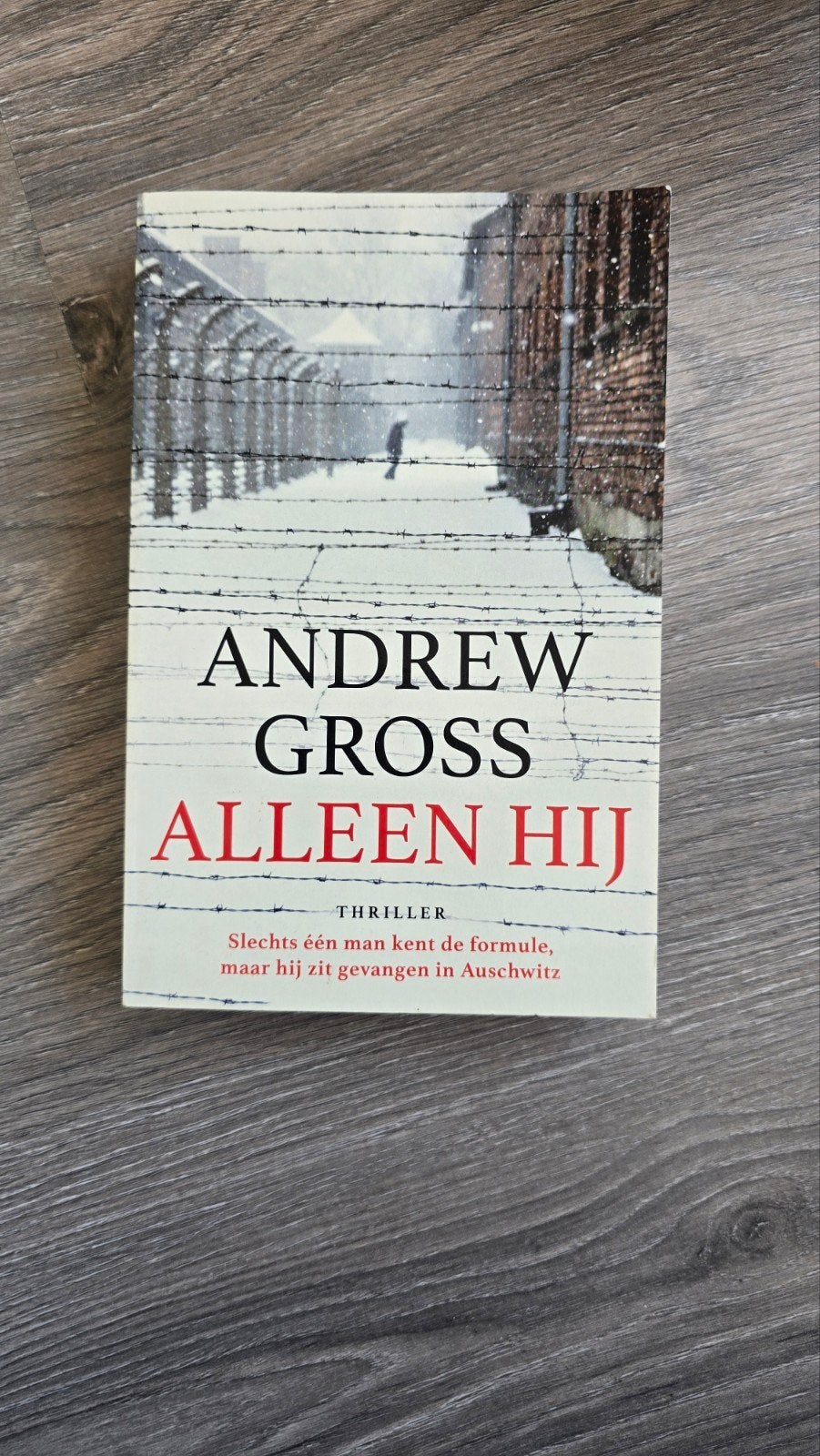Andrew Gross - Alleen Hij (Thriller), Ophalen of Verzenden, Zo goed als nieuw, Andrew Gross, Wereld overig