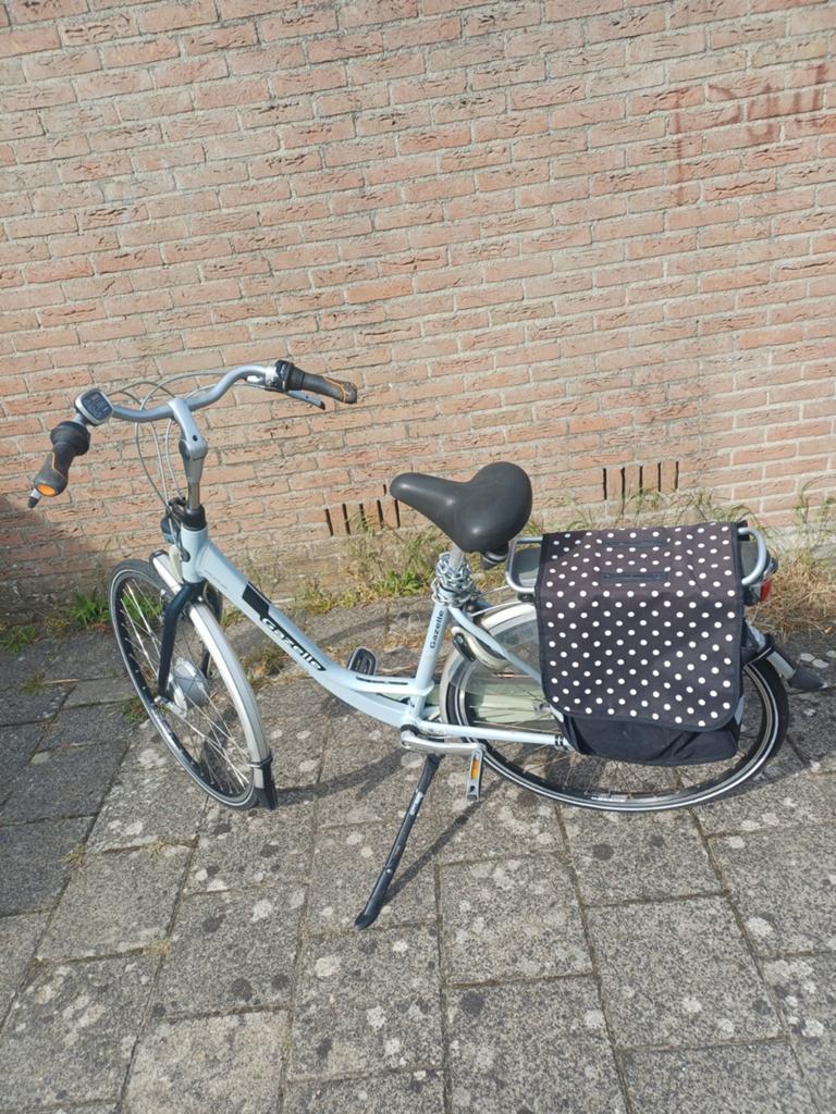Gazelle elektrische fiets met lage instap, Fietsen en Brommers, Fietsen | Dames | Damesfietsen, Gebruikt, Velgrem, Versnellingen