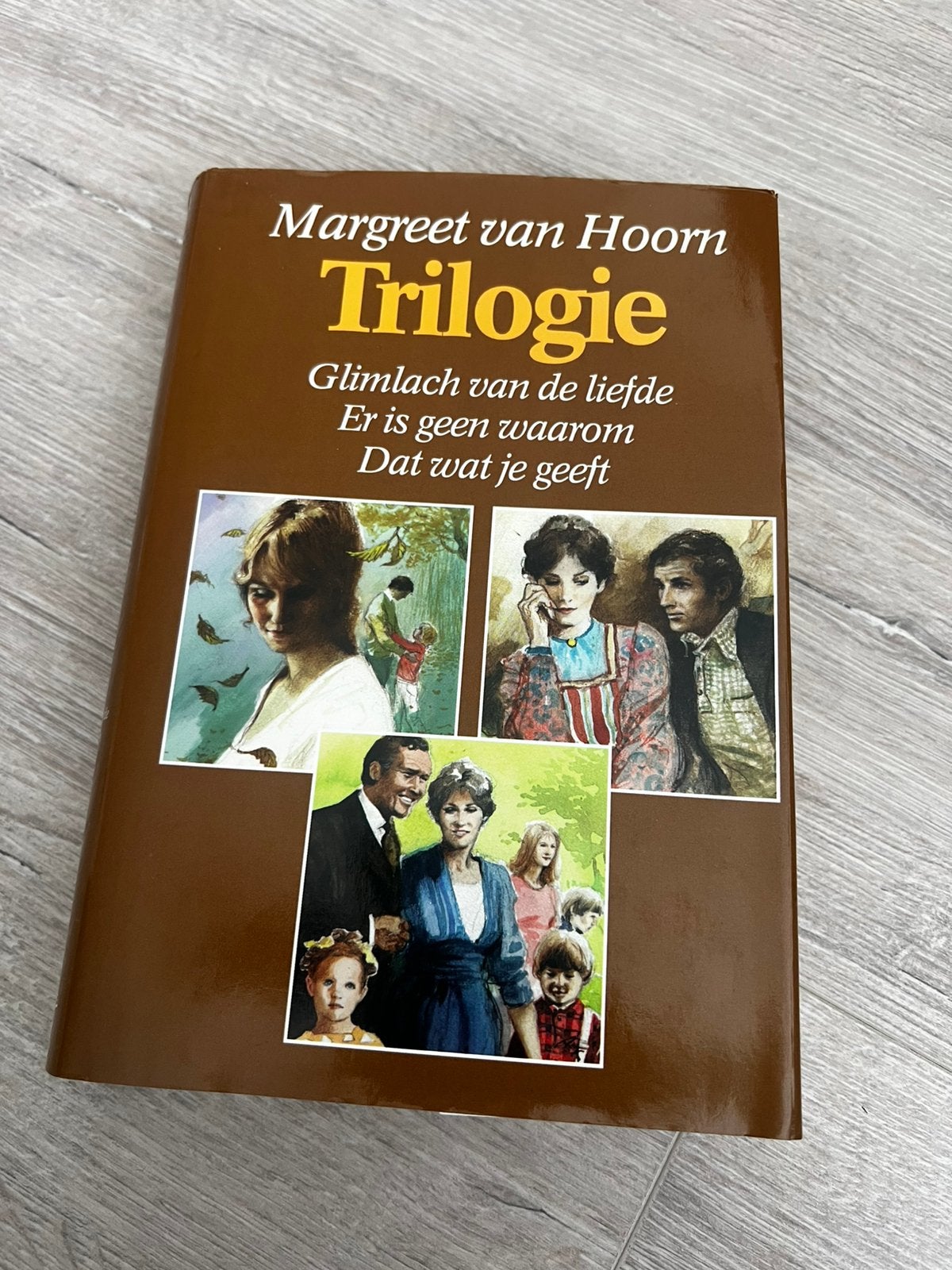 Margreet van Hoorn - Trilogie, Noord-Brabant, Ophalen of Verzenden, Zo goed als nieuw, Margreet van Hoorn
