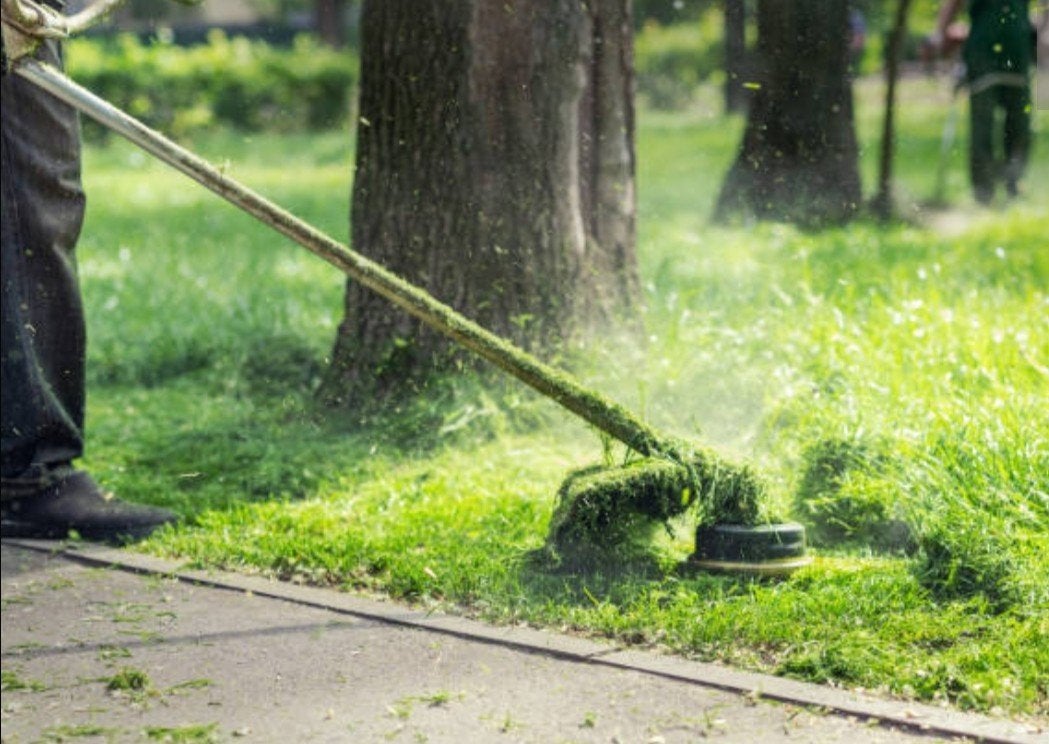 Maai-, Snoei-, Zaag- & Terreinwerkzaamheden, Tuin en Terras, Ophalen