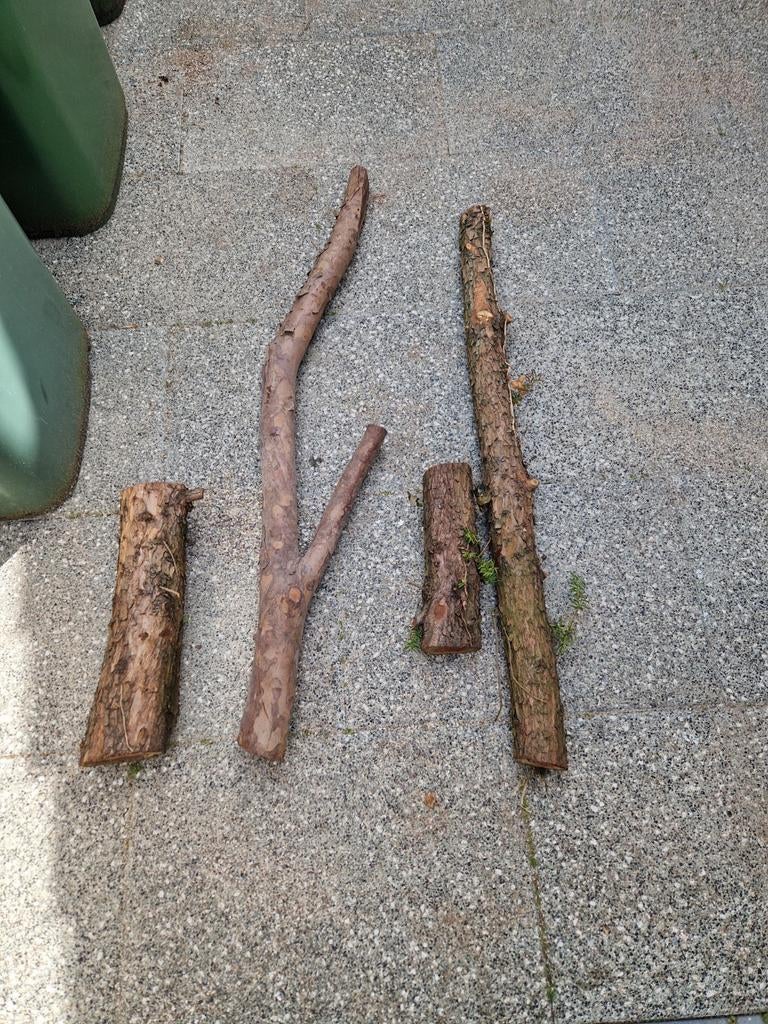 Taxus hout, Doe-het-zelf en Verbouw, Hout en Planken, Ophalen, Overige typen, 50 mm of meer, Minder dan 200 cm