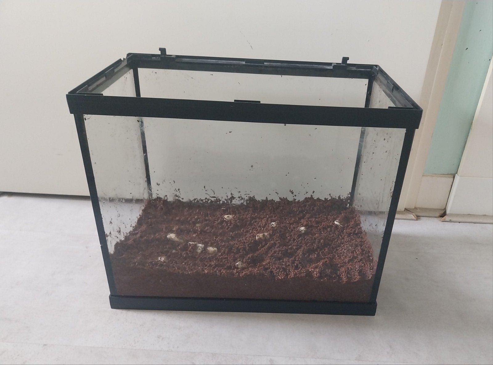 30 liter aqarium bak zwart, Ophalen of Verzenden, Gebruikt, Leeg aquarium