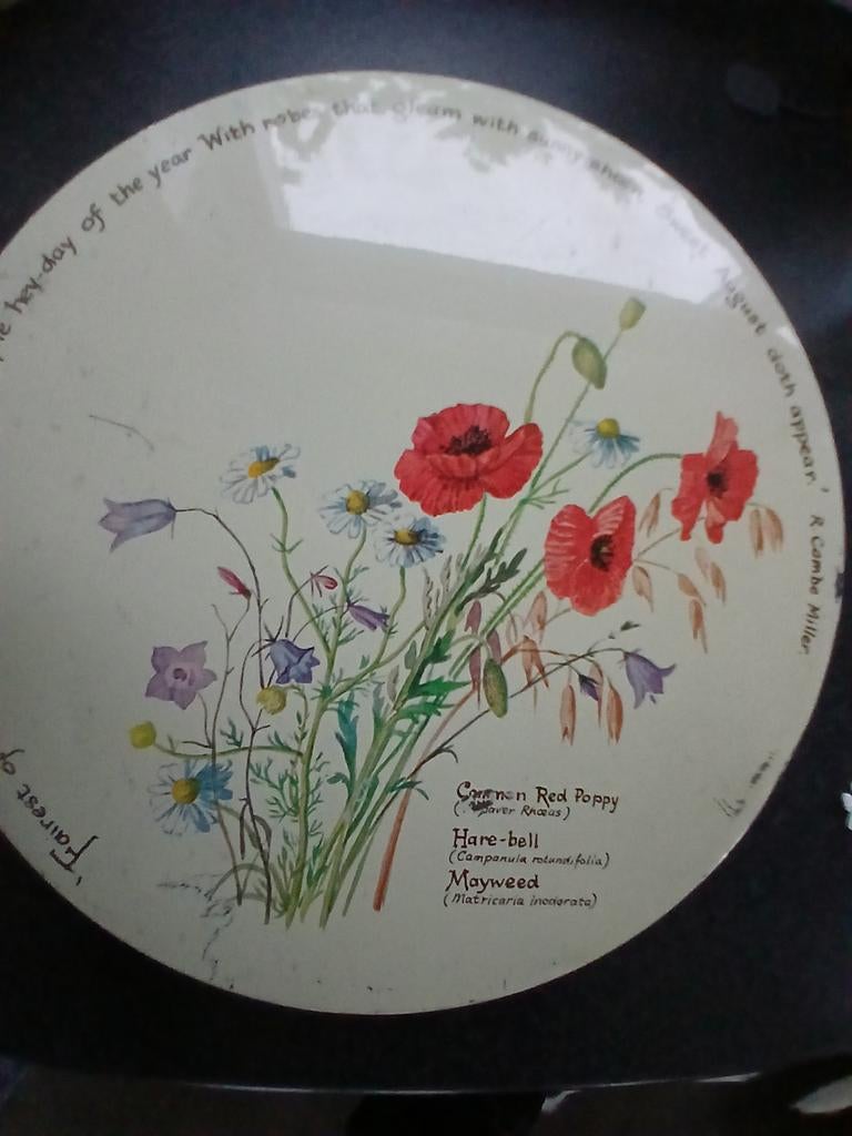Groot rond blik voor koek etc. met prachtige bloemen., Ophalen, Zo goed als nieuw