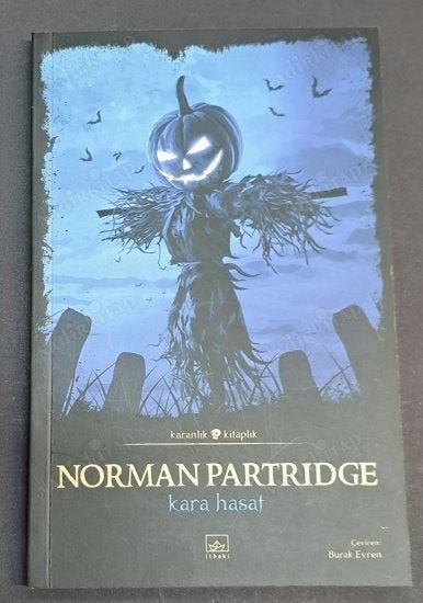 Turkse Horror boeken Korku Romanları (Türkçe), Boeken, Ophalen of Verzenden, Zo goed als nieuw