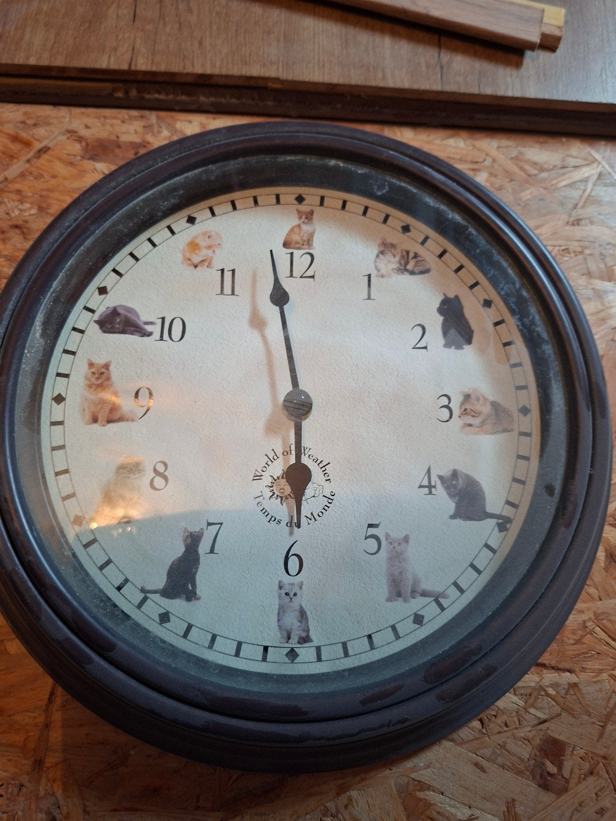 Wandklok met katten thema - 'World of Weather', Bruin, Analoog, Ophalen of Verzenden, Wandklok