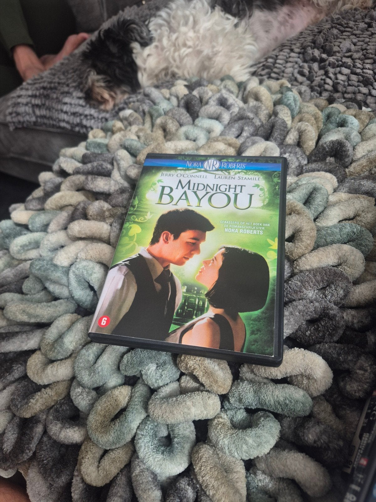 Nora Roberts' Midnight Bayou DVD - Romantisch Drama, Cd's en Dvd's, Vanaf 6 jaar, Ophalen of Verzenden, Gebruikt