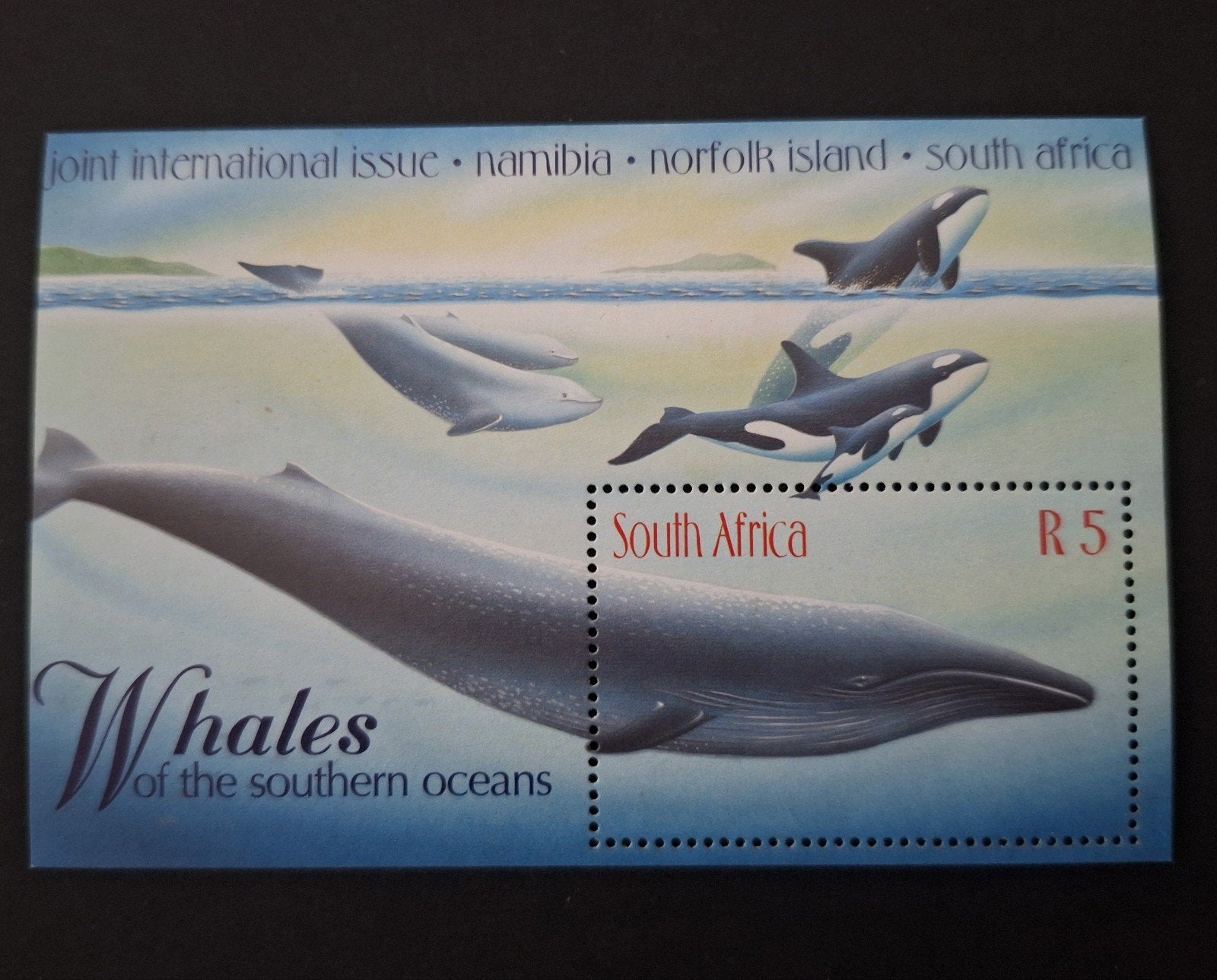 1998 ZUID-AFRIKA ** - BLOK WALVISSEN, Ophalen of Verzenden, Zuid-Afrika, Postfris