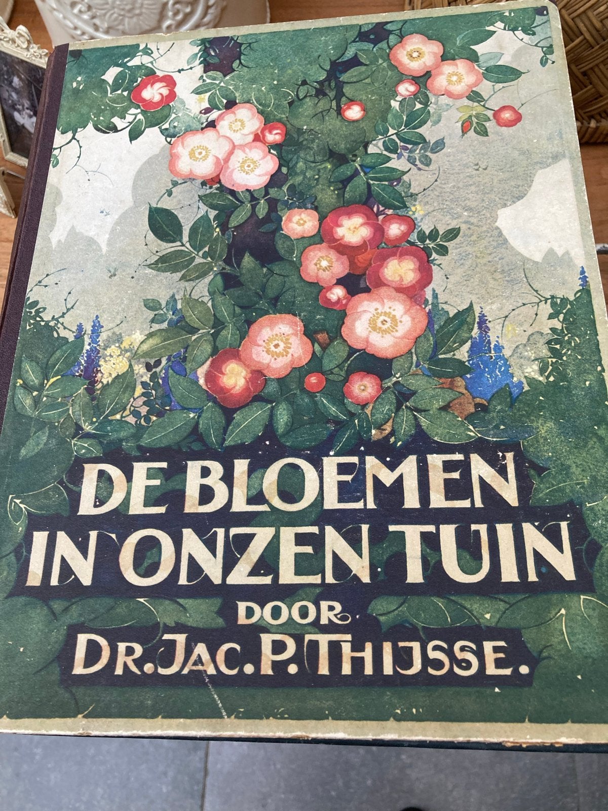 Diverse Verkade albums - Natuur, Dieren, Planten, Ophalen, Gelezen