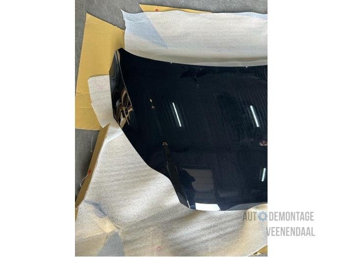 Motorkap van een Ford Focus (PANTHER), -, -, Nieuw, Ophalen of Verzenden