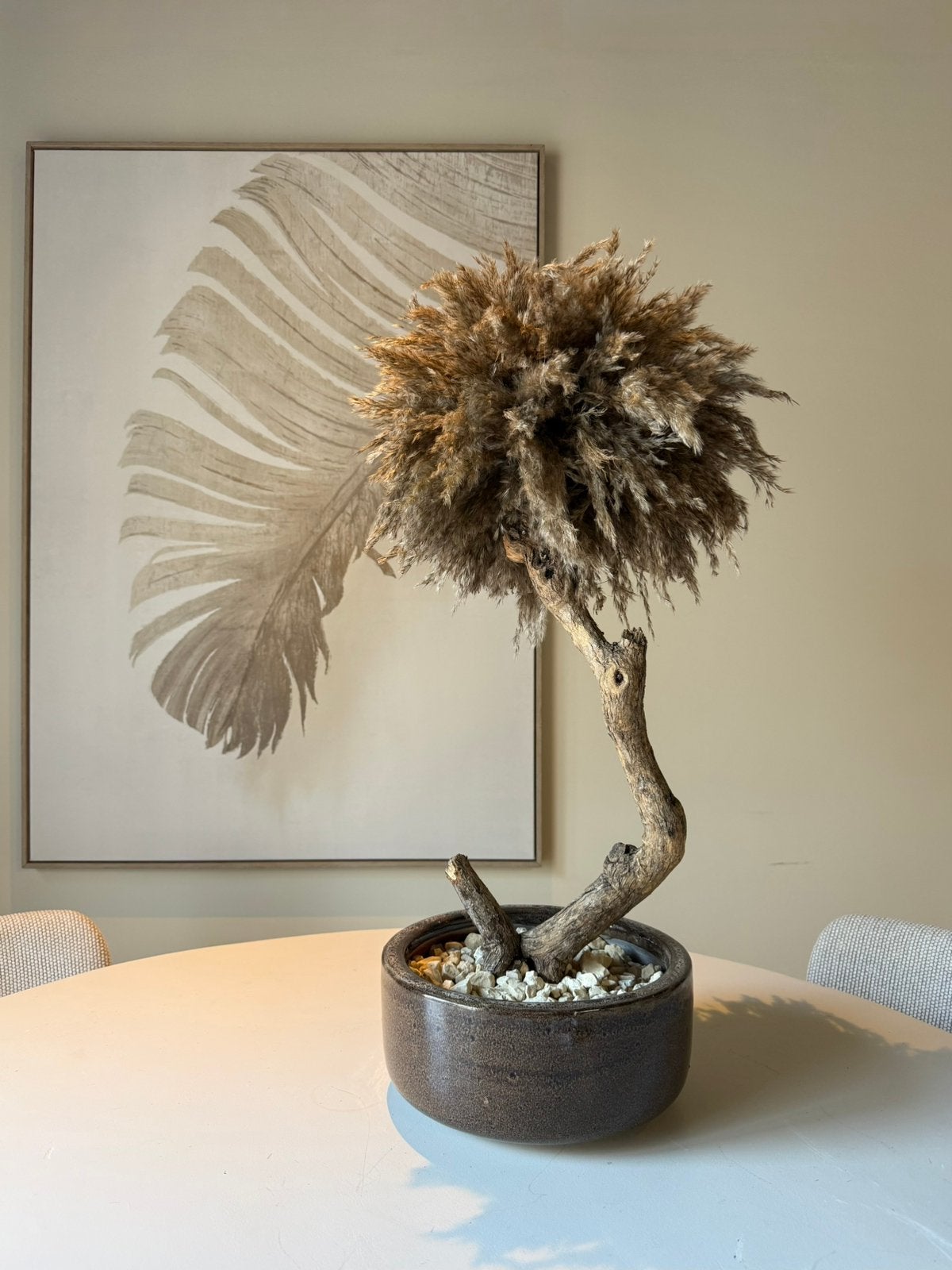 Handgemaakte Bonsai Pampasboom – Inclusief Pot, Ophalen, Nieuw