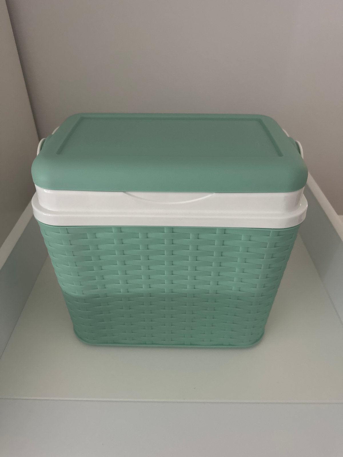 Mini Koelbox - Compact en Handig, Ophalen, Zo goed als nieuw, Koelbox, Koelelement