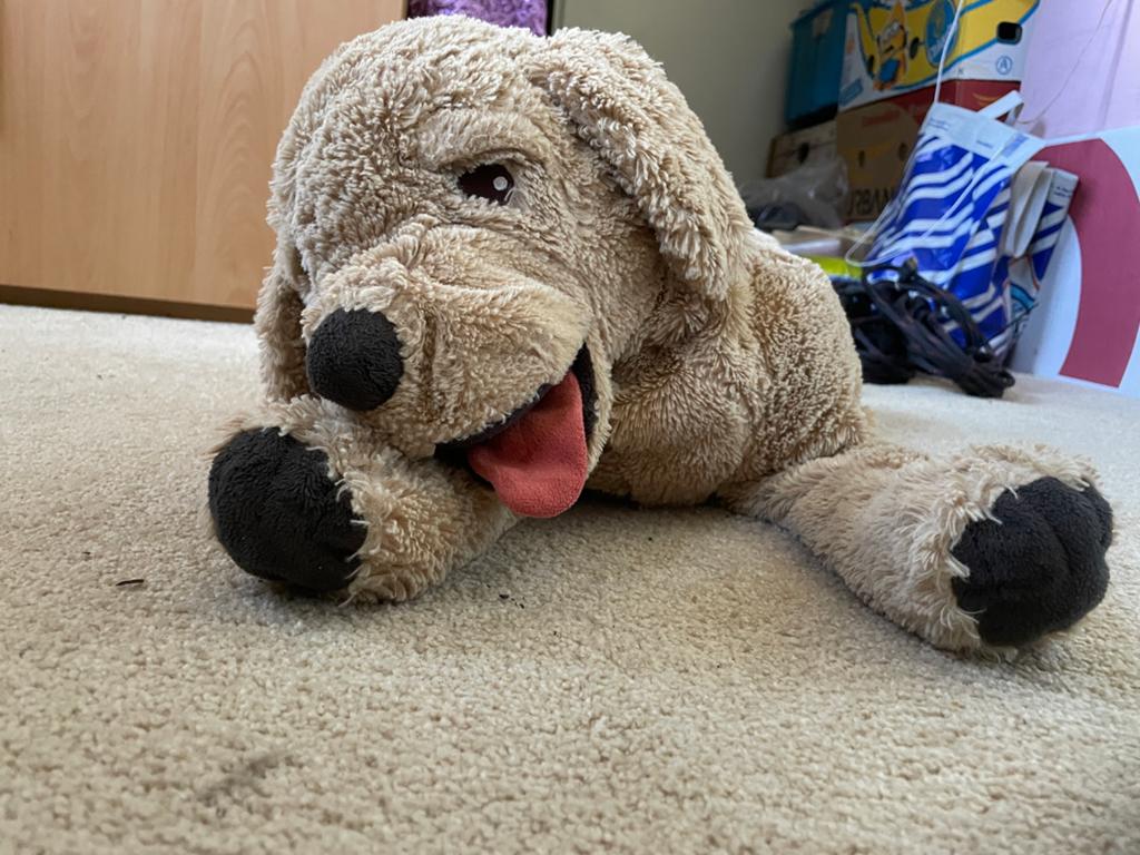 Grote IKEA Knuffelhond - Zacht en Speels, Gebruikt, IKEA, Middelgroot (20 tot 80 cm), Beige