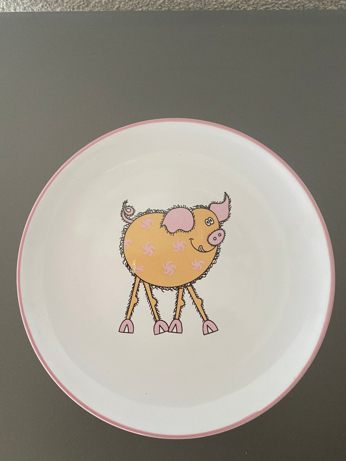 Heel leuk bordje met vrolijk varkentje, Steen, Verzenden, Zo goed als nieuw, Bord(en)