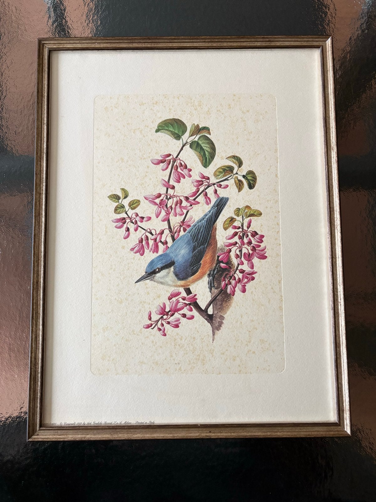 Ingelijste Putter vogel print - Arti Grafiche Ricordi 1989, 50 – 75, Minder dan 50 cm, Gebruikt, Oorspronkelijke maker