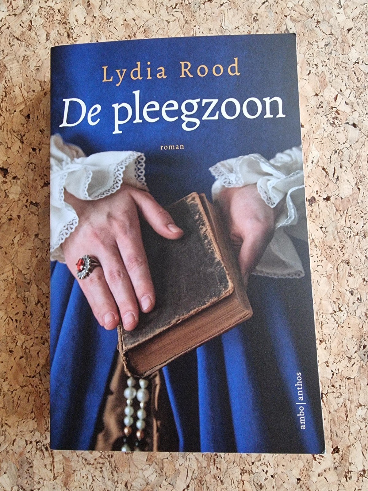 Lydia Rood - De pleegzoon, Boeken, Historische romans, Ophalen of Verzenden, Zo goed als nieuw, Lydia Rood