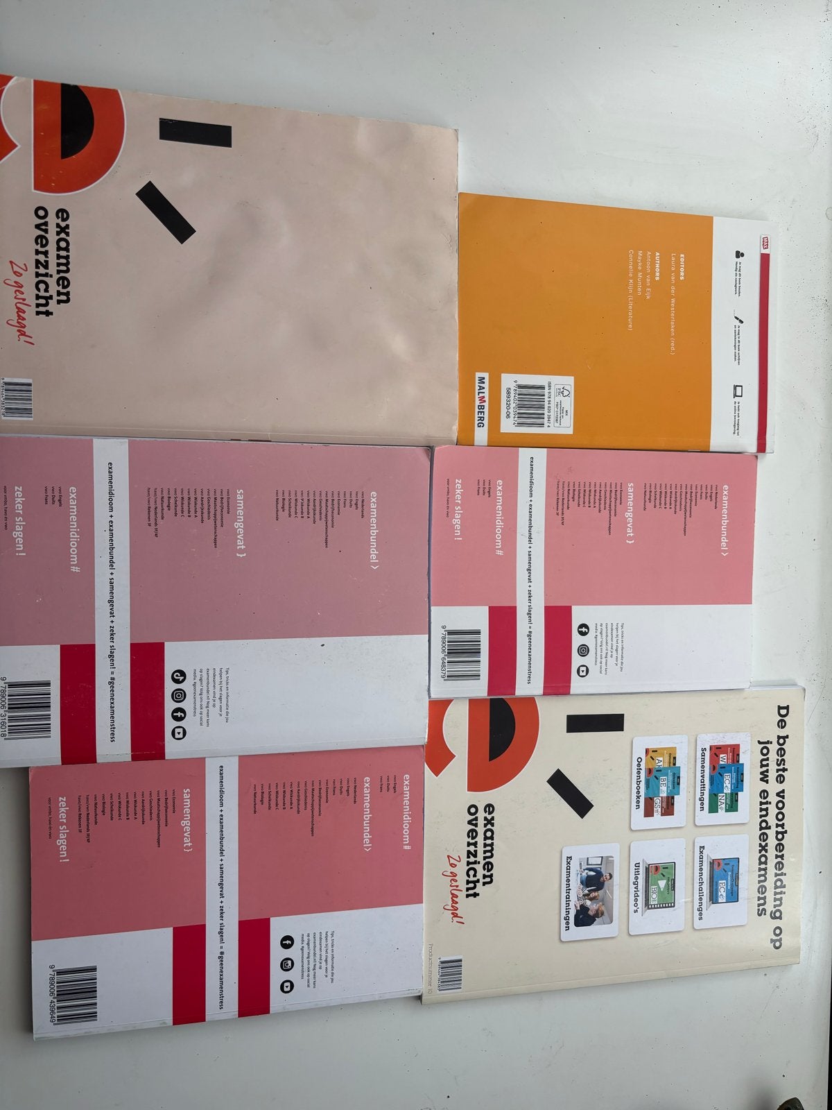 Examenbundels en Samenvattingen VWO (diverse vakken), Boeken, Schoolboeken, Ophalen, Gelezen, VWO, Geschiedenis