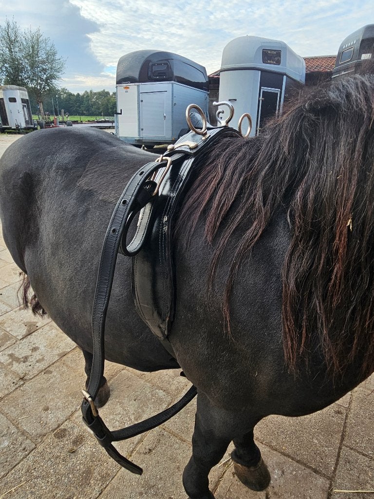 Menschoft Pony, Overige disciplines, Mentuig, Verstelbaar, Overige merken