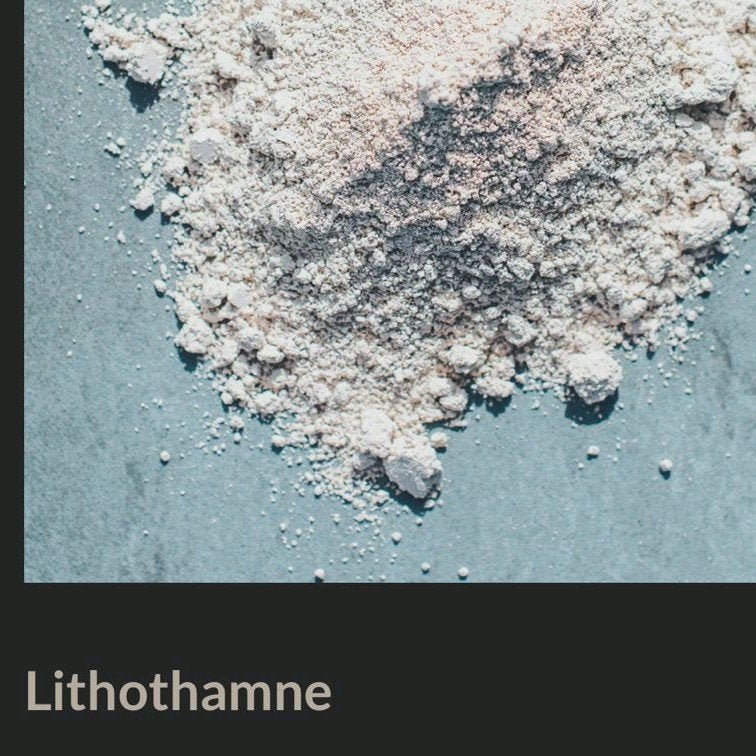 Lithothamne maagbeschermering paard, Ophalen, Gebruikt, Dier