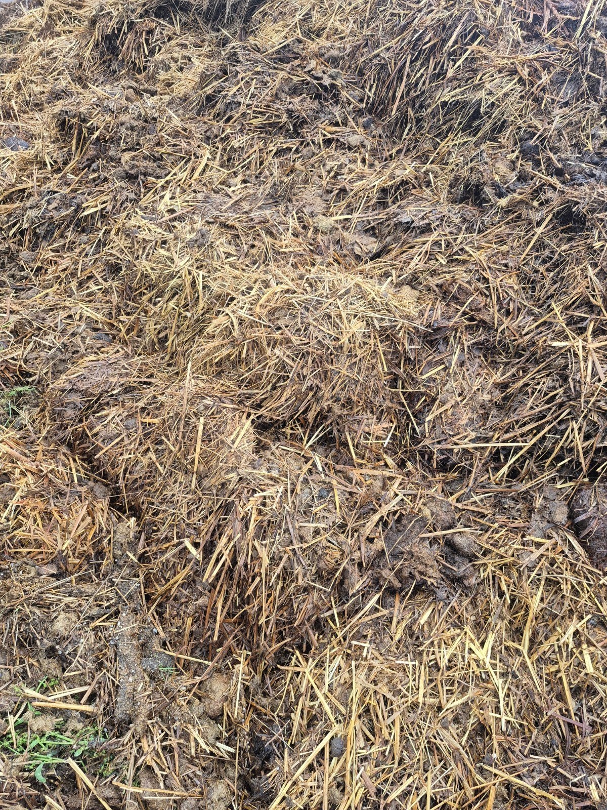 Mooie paardenmest!, Ophalen of Verzenden, Mest