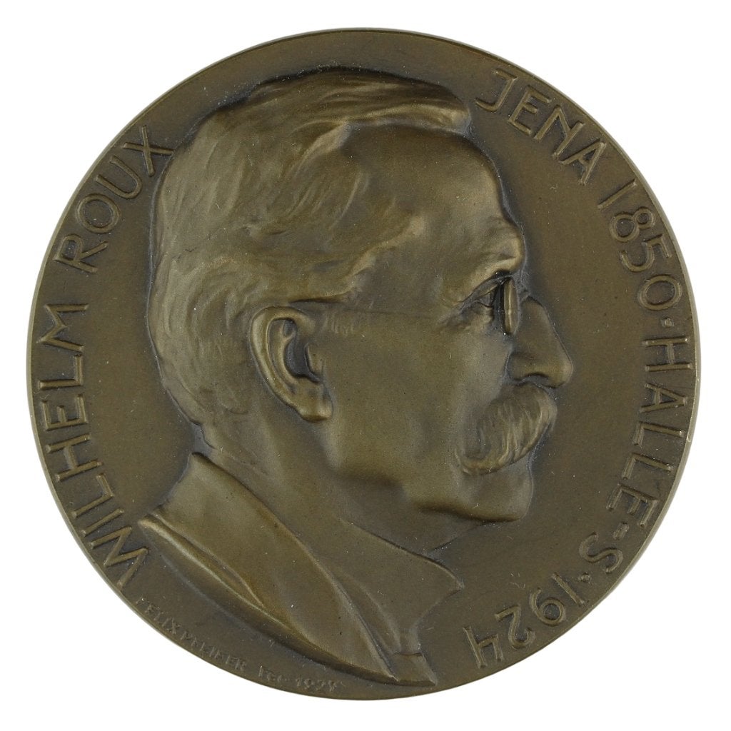 EHRENMEDAILLE Felix Pfeifer WILHELM ROUX FÜR DR. JAN BOEKE, Verzenden, Brons, Buitenland