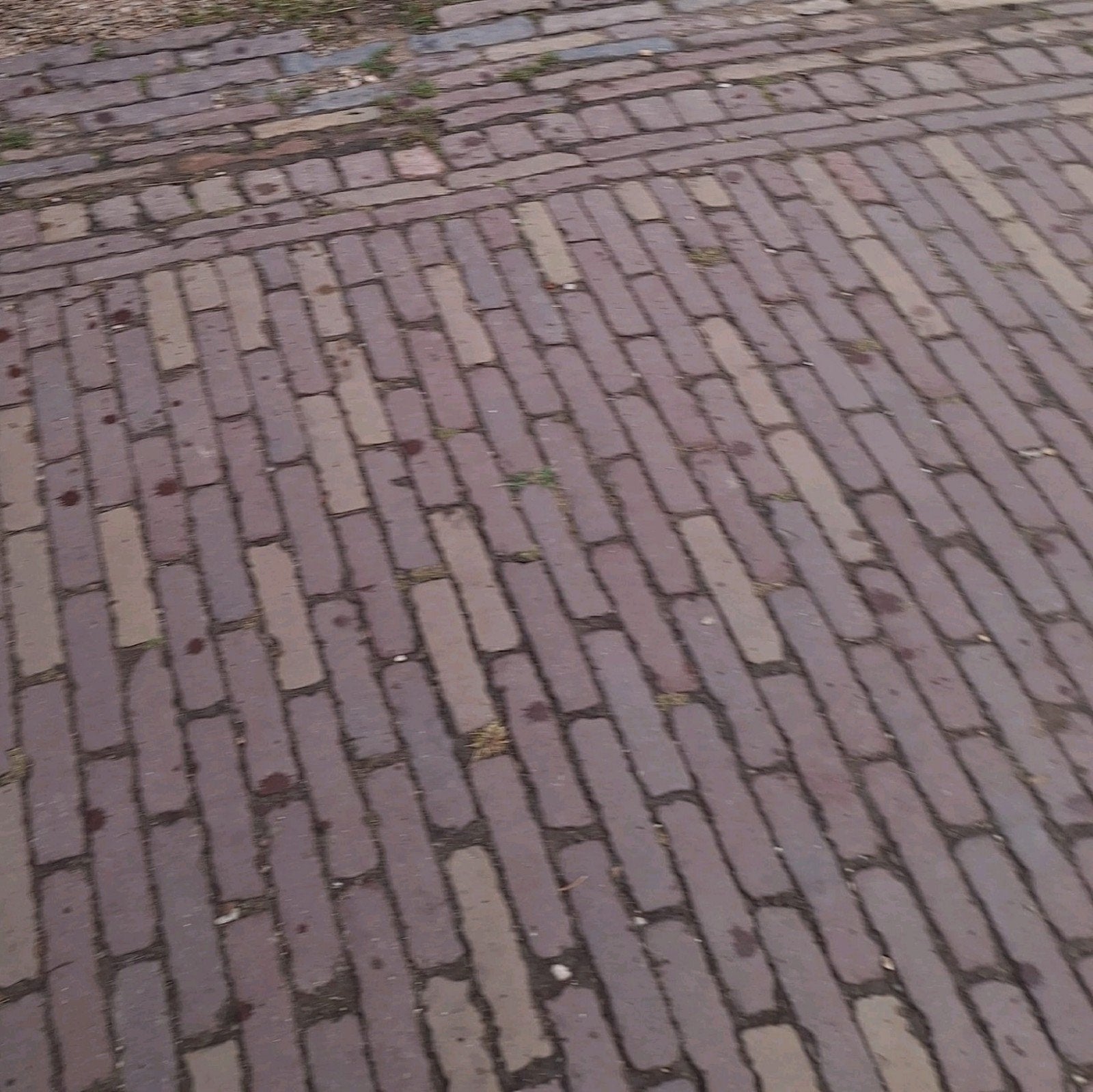 gezocht stratenmaker voor ons hoveniersbedrijf, Tuin en Terras, Overige typen, Nieuw, Ophalen of Verzenden, 10 m² of meer