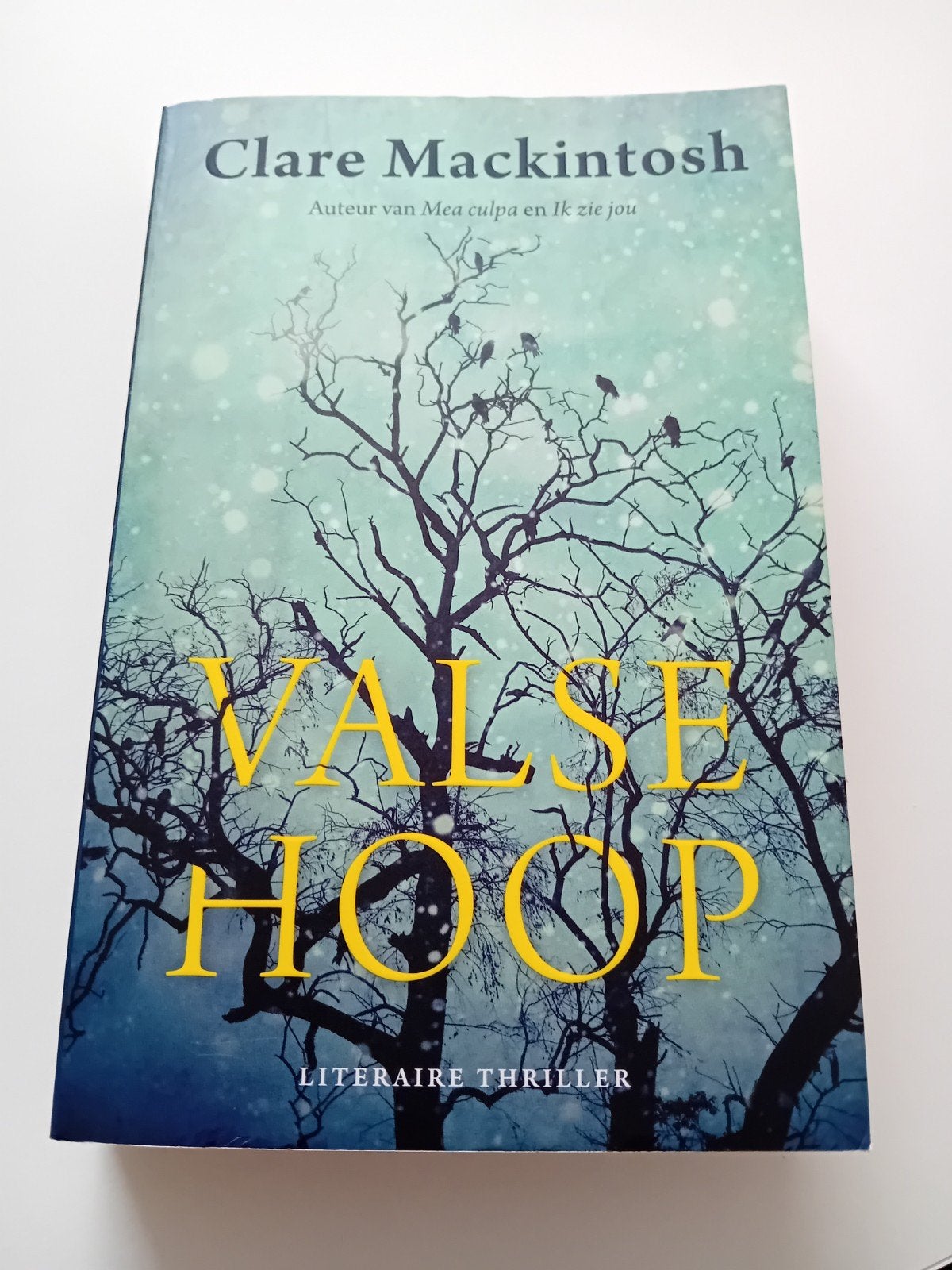 Valse Hoop - Clare Mackintosh (Literaire Thriller), Ophalen of Verzenden, Zo goed als nieuw, Clare Mackintosh, Europa overig