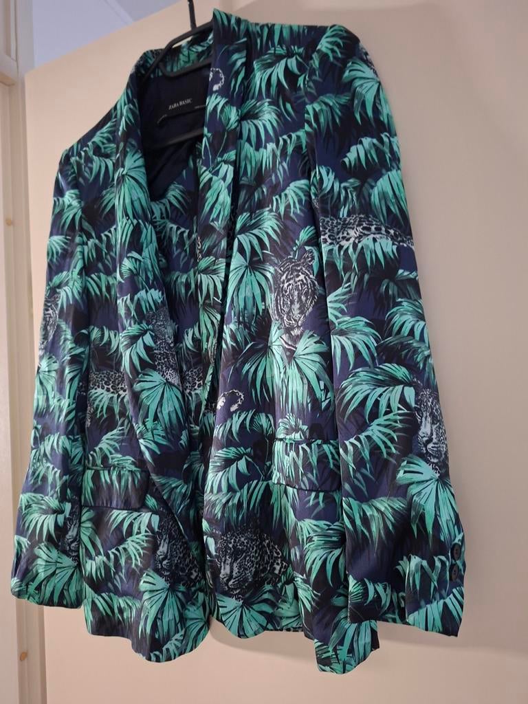 Zara jasje en broek, Ophalen of Verzenden, Zo goed als nieuw, Maat 36 (S)
