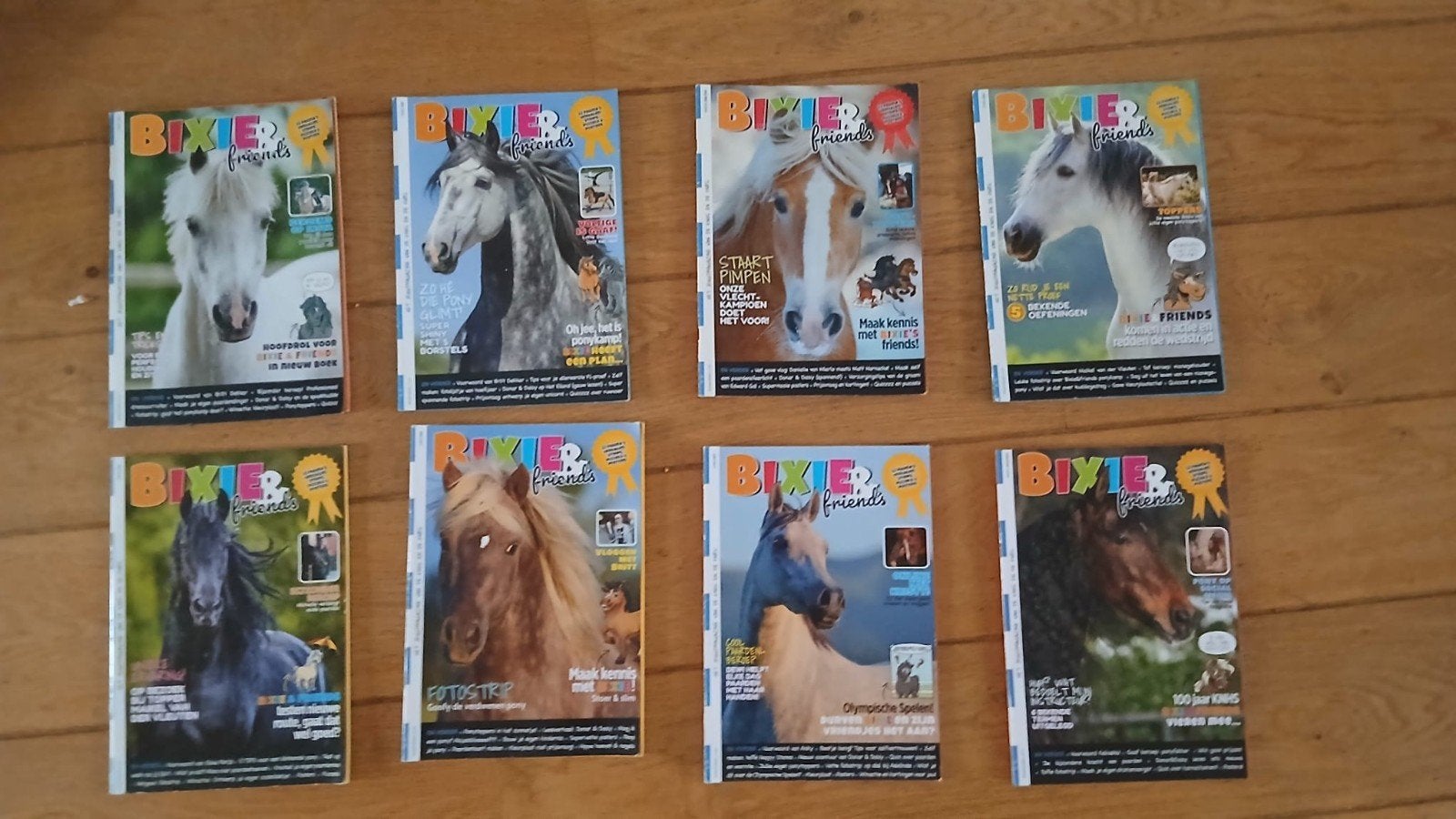 Bixie & friends, paardenmagazine, Meerdere comics, Ophalen of Verzenden, Gelezen, Europa