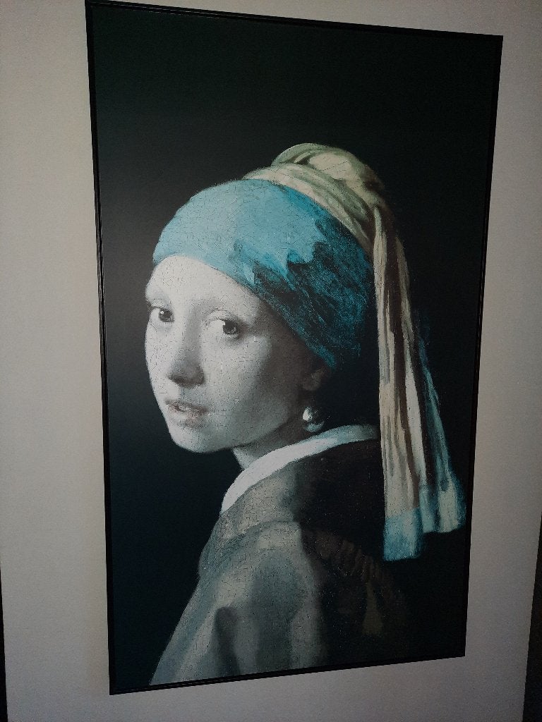Schilderij meisje met de parel, Ophalen, Gebruikt, Schilderij